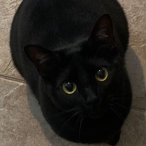 Meet your Posher, Brian